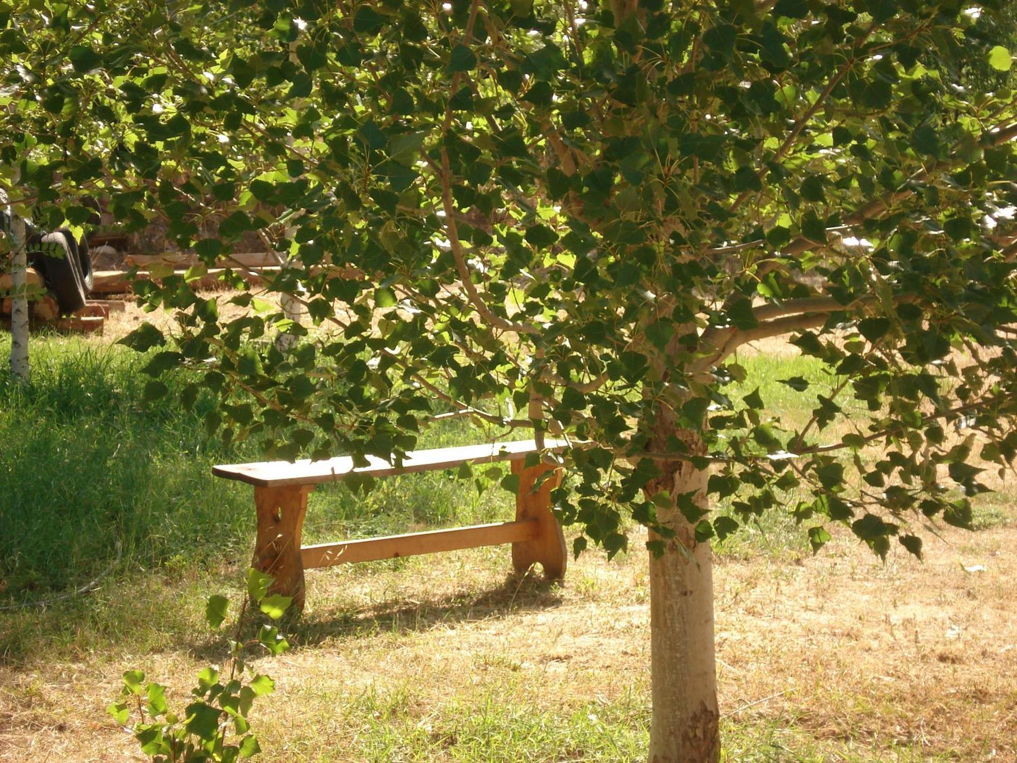 Masia El Carcaba - Moli Del Pont. Cornudella de Montsant Exteriör bild